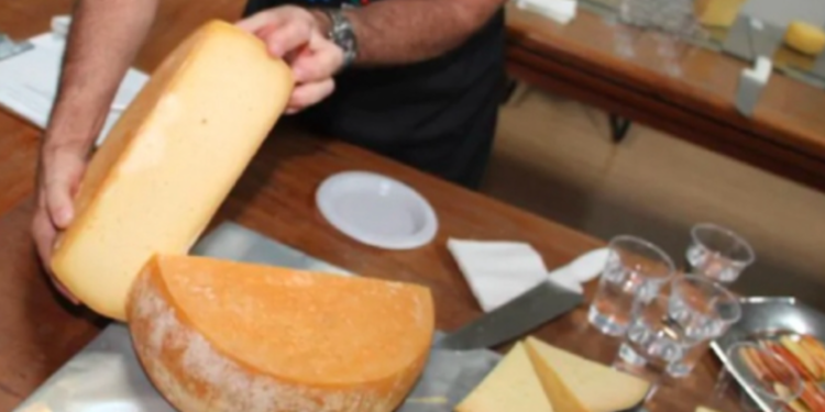 “Queijo com Lei” Unesco reconhece Queijo Minas Artesanal como patrimônio imaterial