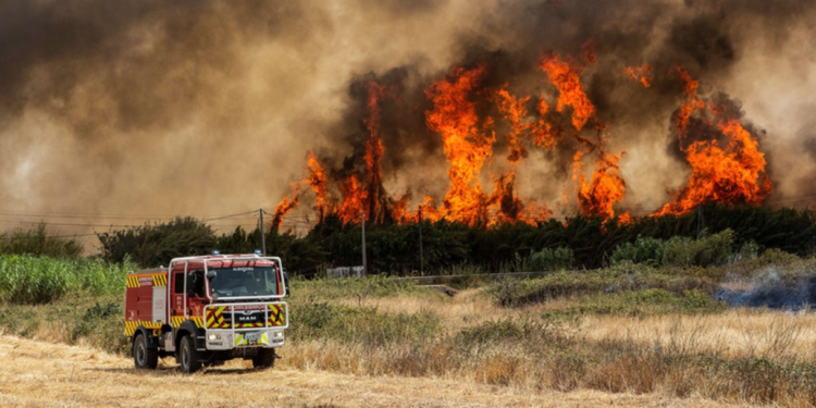Polícia Judiciária detém jovem de 24 anos autor de um dos maiores incêndios deste verão em Portugal