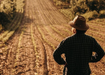 Habitação: Alteração da “Lei dos Solos” agora permite “construir casas” em terrenos rústicos em Portugal “Atenção aos critérios”