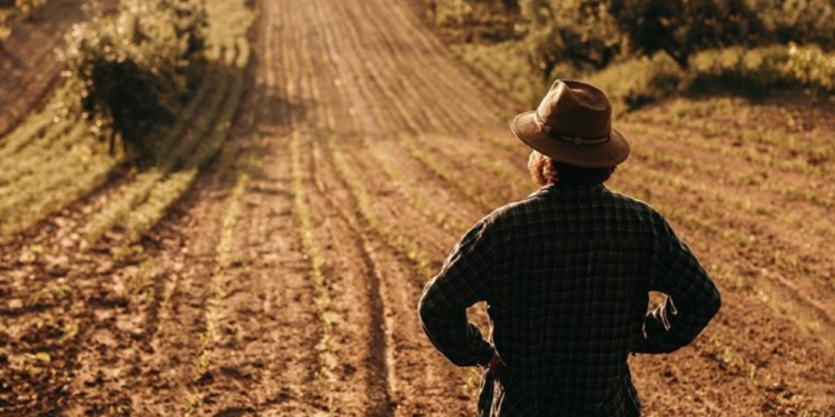 Habitação: Alteração da “Lei dos Solos” agora permite “construir casas” em terrenos rústicos em Portugal “Atenção aos critérios”