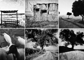 Entre memórias e filtros: A fotografia que transcende o tempo