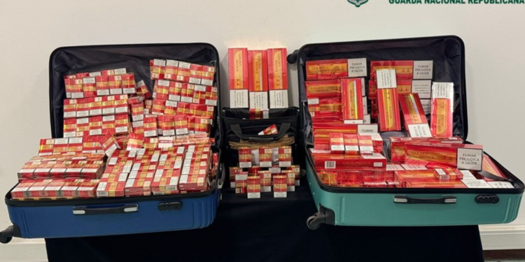 GNR faz apreensão de 24.400 maços de cigarros de contrabando em Lisboa