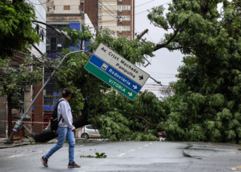 Chuva forte causa quedas de árvores e transtornos em Belo Horizonte