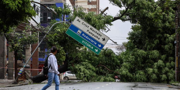 Chuva forte causa quedas de árvores e transtornos em Belo Horizonte