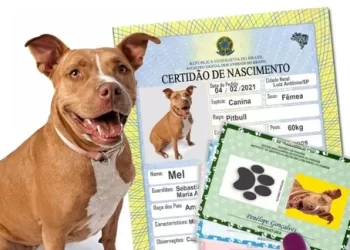 Animais domésticos terão direito a RG com cadastro nacional
