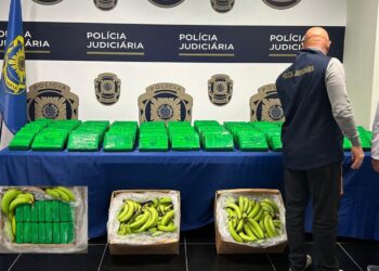 Operação Acácias da Polícia Judiciária descobre 3,5 toneladas de “cocaína em carga de bananas” que saiu da América Latina