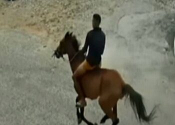 Jovem de 22 anos agride ex-namorada, rouba celular e foge a “cavalo”
