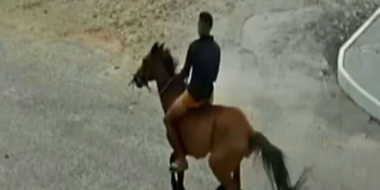 Jovem de 22 anos agride ex-namorada, rouba celular e foge a “cavalo”