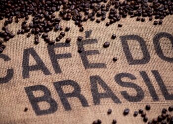 Brasil exporta 46 milhões de sacas de café, atingindo recorde em 2024