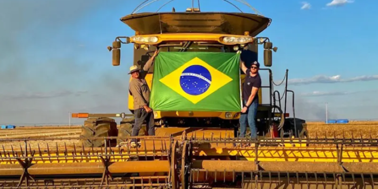 Agronegócio brasileiro é responsável por alimentar 10% da população mundial