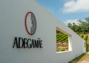 Conheça os vinhos e a gastronomia da ADEGAMÃE em Torres Vedras