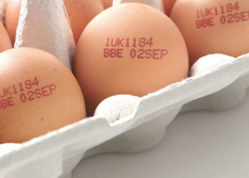 Ovos terão que ter data de validade na casca a partir de março de 2025