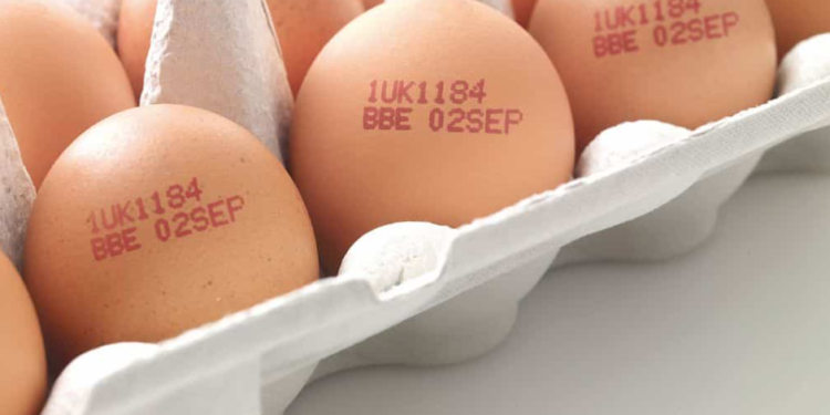 Ovos terão que ter data de validade na casca a partir de março de 2025