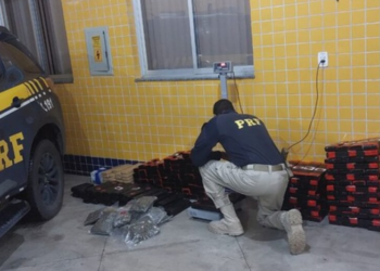 Sem carteira de motorista mulher de 33 anos é presa com mais de 220kg de maconha a caminho do Rio de Janeiro