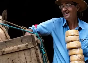 Governo lança concurso cultural de fotografia ‘De Olho no Queijo’