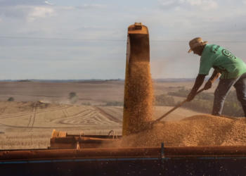 Centro-oeste é a única região que pode apresentar crescimento, em 2025