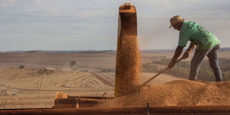 Centro-oeste é a única região que pode apresentar crescimento, em 2025