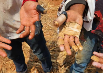 Minas Gerais no topo da lista suja do trabalho escravo no Brasil com 21% dos empregadores; maioria deles são fazendeiros