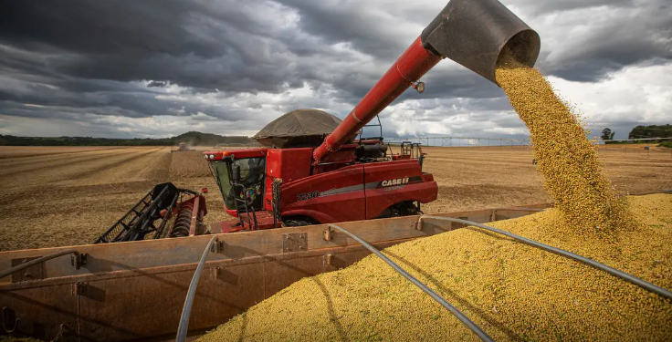 Safra de grãos 2024/25 deve bater recorde com 330,3 milhões de toneladas, estima Conab