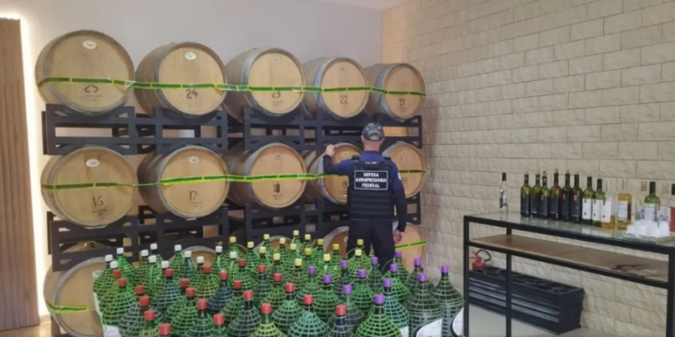 ‘Operação Sangria’  Vinhos, cachaças e vinagres são apreendidos no Paraná