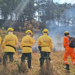 Bombeiros de MG abrem 280 vagas para brigadistas florestais; salário é de R$ 2.000