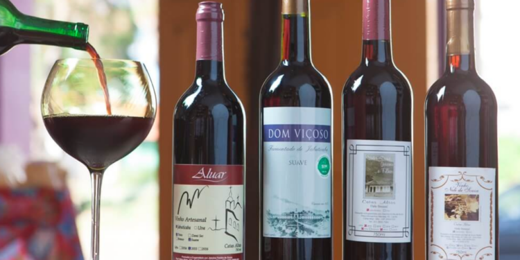 🍷 Catas Altas celebra a 24ª Festa do Vinho 🍇 com shows, cultura e tradição