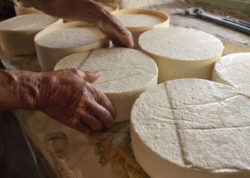 Dia do Queijo Artesanal celebra tradição mineira e diversidade de sabores