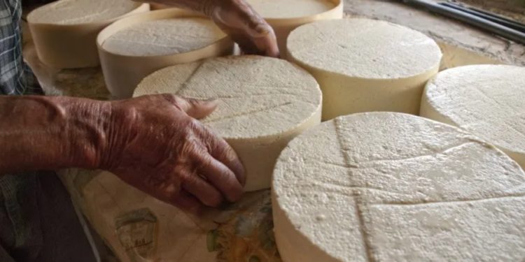 Dia do Queijo Artesanal celebra tradição mineira e diversidade de sabores