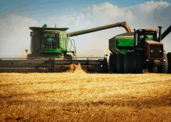 Agro brasileiro impulsiona alta do PIB no 1º trimestre e ofusca aperto dos juros na economia