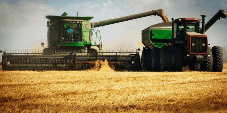 Agro brasileiro impulsiona alta do PIB no 1º trimestre e ofusca aperto dos juros na economia