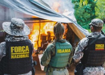 Ofensiva trava mineração ilegal e bloqueia rotas clandestinas na Terra Indígena Kayapó