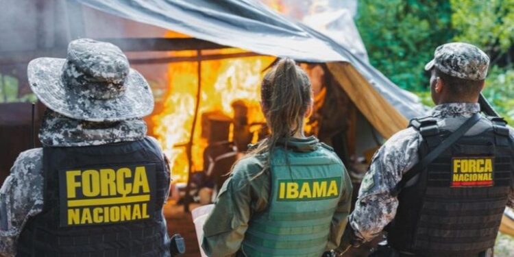 Ofensiva trava mineração ilegal e bloqueia rotas clandestinas na Terra Indígena Kayapó