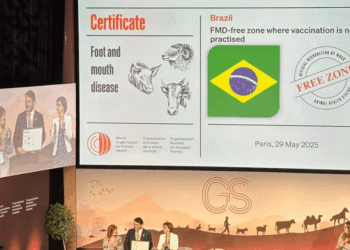Brasil conquista status de país livre da febre aftosa sem vacinação