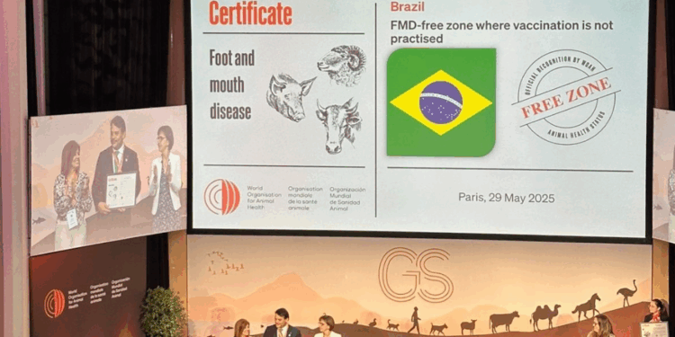 Brasil conquista status de país livre da febre aftosa sem vacinação