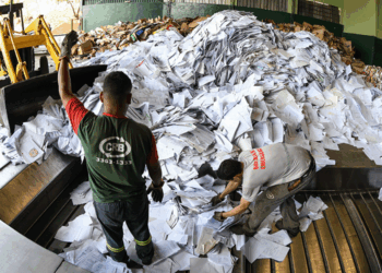 Judiciário mineiro reforça compromisso com sustentabilidade no Dia Mundial do Meio Ambiente