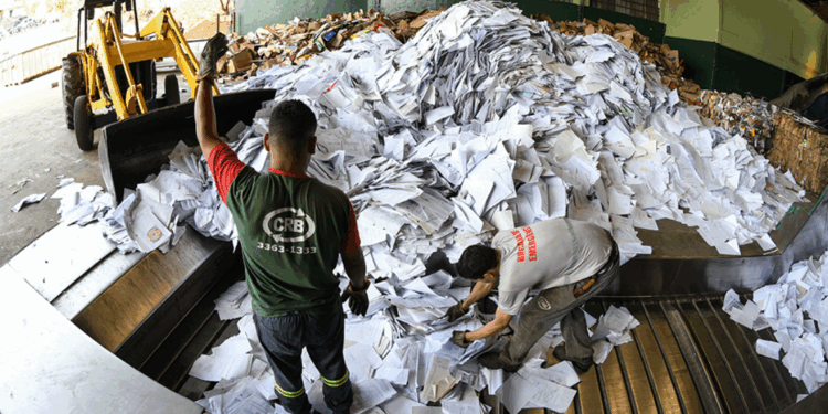 Judiciário mineiro reforça compromisso com sustentabilidade no Dia Mundial do Meio Ambiente