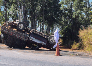 Caminhonete com abelhas vivas capota na BR-262, em Minas Gerais