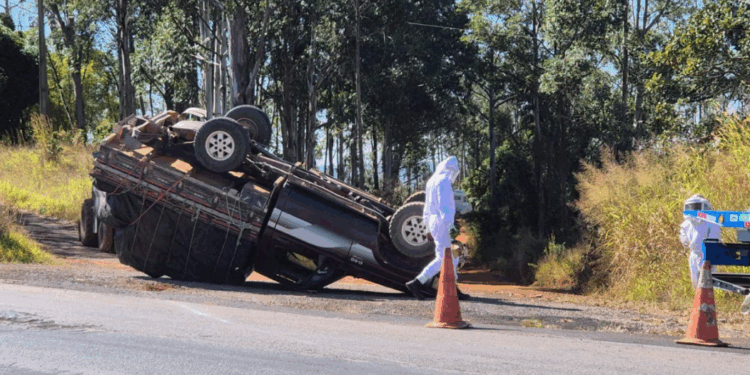 Caminhonete com abelhas vivas capota na BR-262, em Minas Gerais
