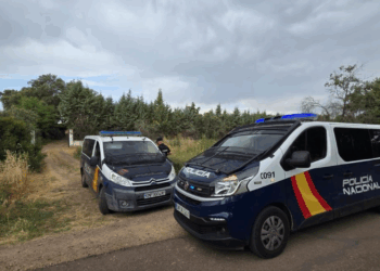 Portugueses são detidos em megaoperação contra o tráfico internacional de drogas na Espanha