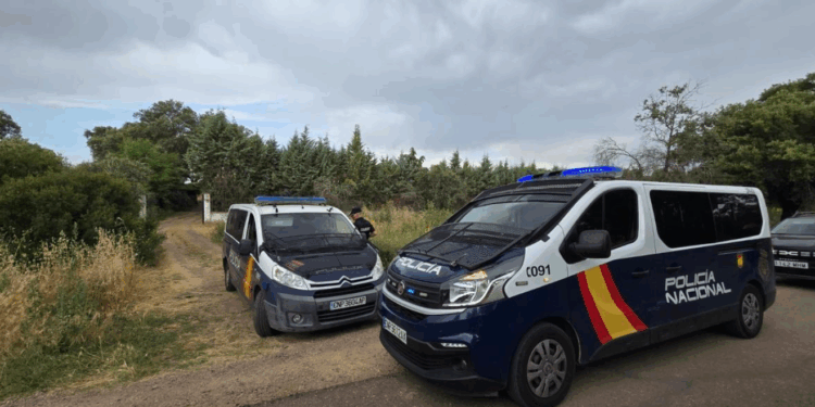 Portugueses são detidos em megaoperação contra o tráfico internacional de drogas na Espanha