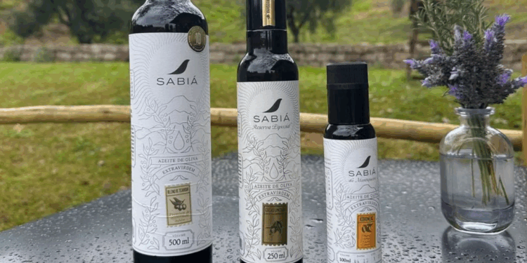 Azeite brasileiro é eleito o melhor do mundo. “O melhor azeite médio frutado do planeta”