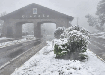 Começou o inverno no Brasil: veja o que esperar da estação em 2025