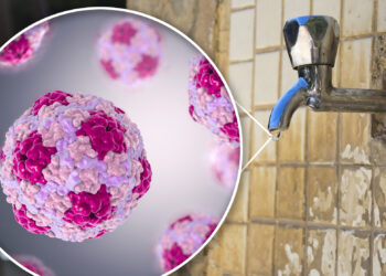 Surto de Hepatite A: Portugal registra quase 500 casos e acende alerta em 2025