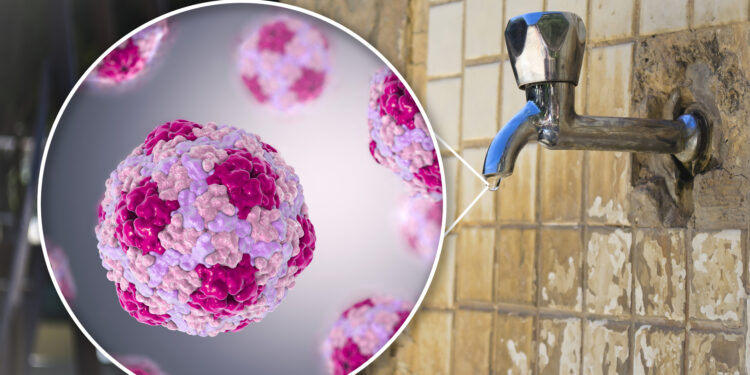 Surto de Hepatite A: Portugal registra quase 500 casos e acende alerta em 2025