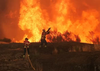 Espanha enfrenta pior temporada de incêndios: 343 mil hectares queimados, maior área já registrada