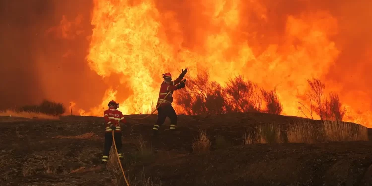 Espanha enfrenta pior temporada de incêndios: 343 mil hectares queimados, maior área já registrada