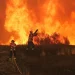 Espanha enfrenta pior temporada de incêndios: 343 mil hectares queimados, maior área já registrada