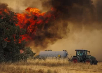 “Todo verão é a mesma coisa ” Incêndio destrói áreas de pastagens no norte de Portugal e mobiliza bombeiros