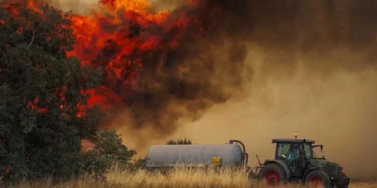 “Todo verão é a mesma coisa ” Incêndio destrói áreas de pastagens no norte de Portugal e mobiliza bombeiros