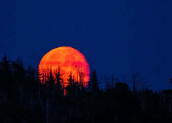 Lua de sangue: eclipse lunar total ocorre neste domingo. Fenômeno não será visível do Brasil